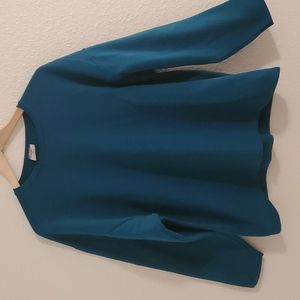 ❄️JERZEES Teal Sweatshirt